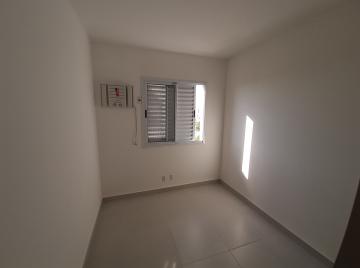 Apartamento padrão, Jardim Palma Travassos, Zona Leste, Ribeirão Preto SP