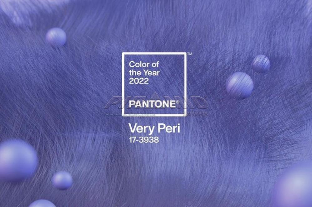 Pantone anuncia o violeta Very Peri como a Cor do Ano de 2022