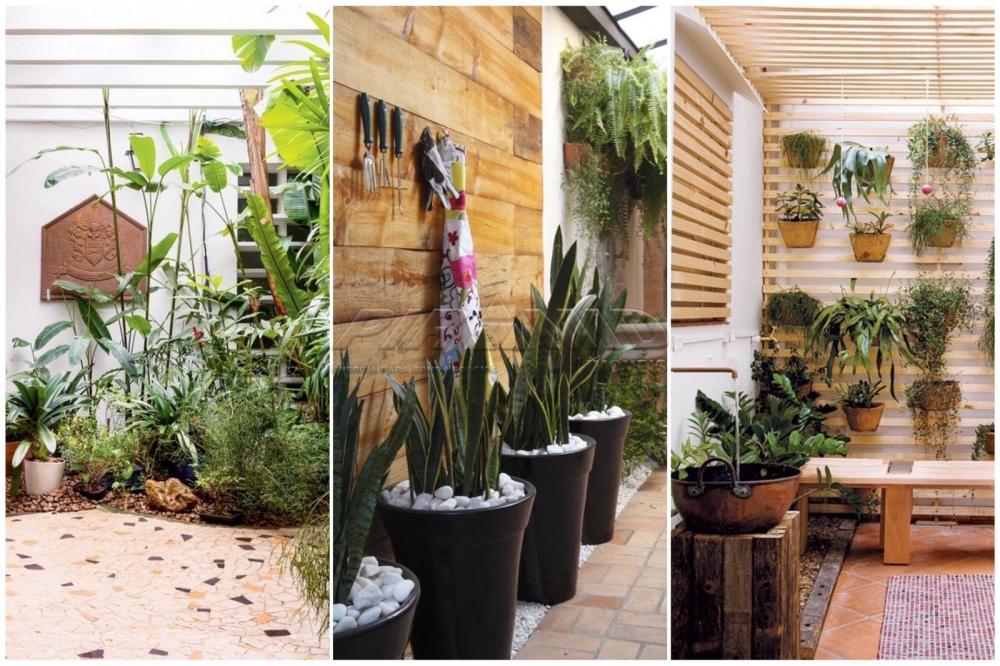 5 jardins de inverno no corredor para voc se inspirar!