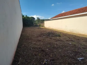 Alugar Terreno / Terreno em Ribeirão Preto. apenas R$ 130.000,00